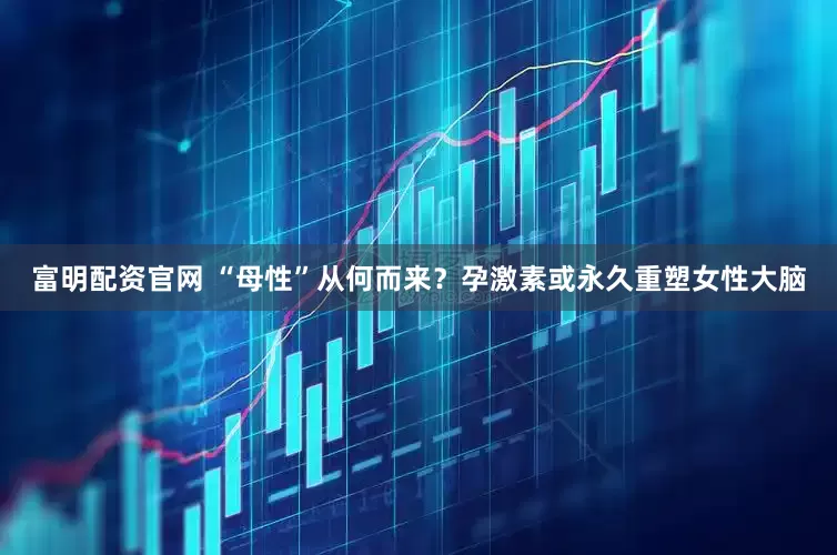 富明配资官网 “母性”从何而来？孕激素或永久重塑女性大脑