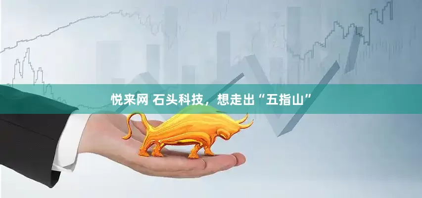 悦来网 石头科技，想走出“五指山”