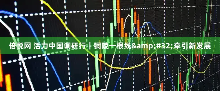 倍悦网 活力中国调研行｜铜陵一根线&#32;牵引新发展