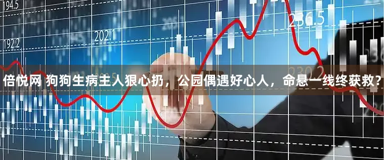倍悦网 狗狗生病主人狠心扔，公园偶遇好心人，命悬一线终获救？