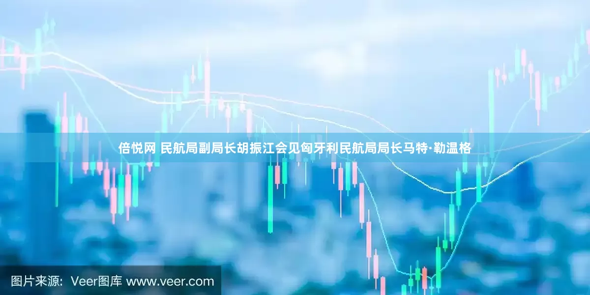 倍悦网 民航局副局长胡振江会见匈牙利民航局局长马特·勒温格
