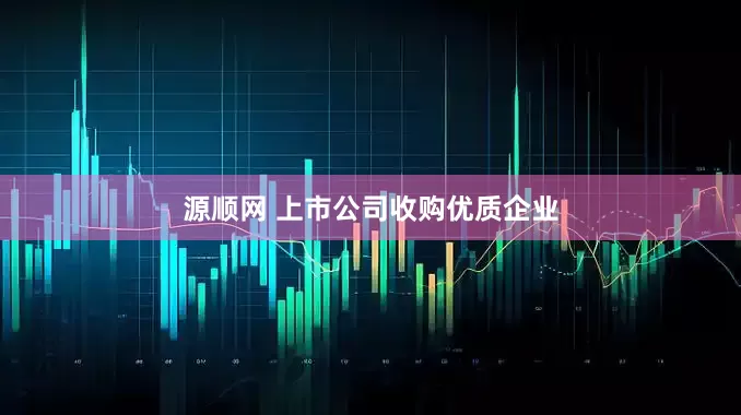 源顺网 上市公司收购优质企业